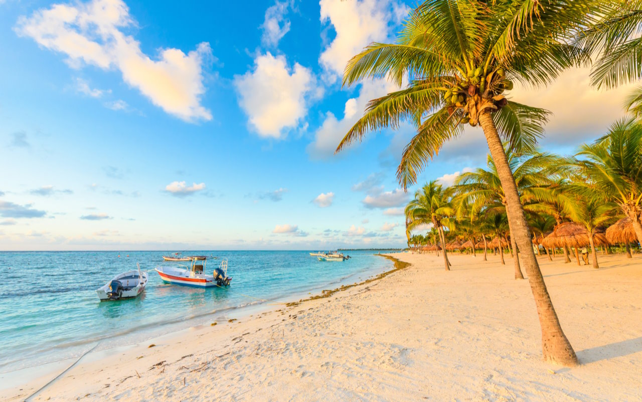 Cozumel, Quintana Roo beach with palm trees and boats