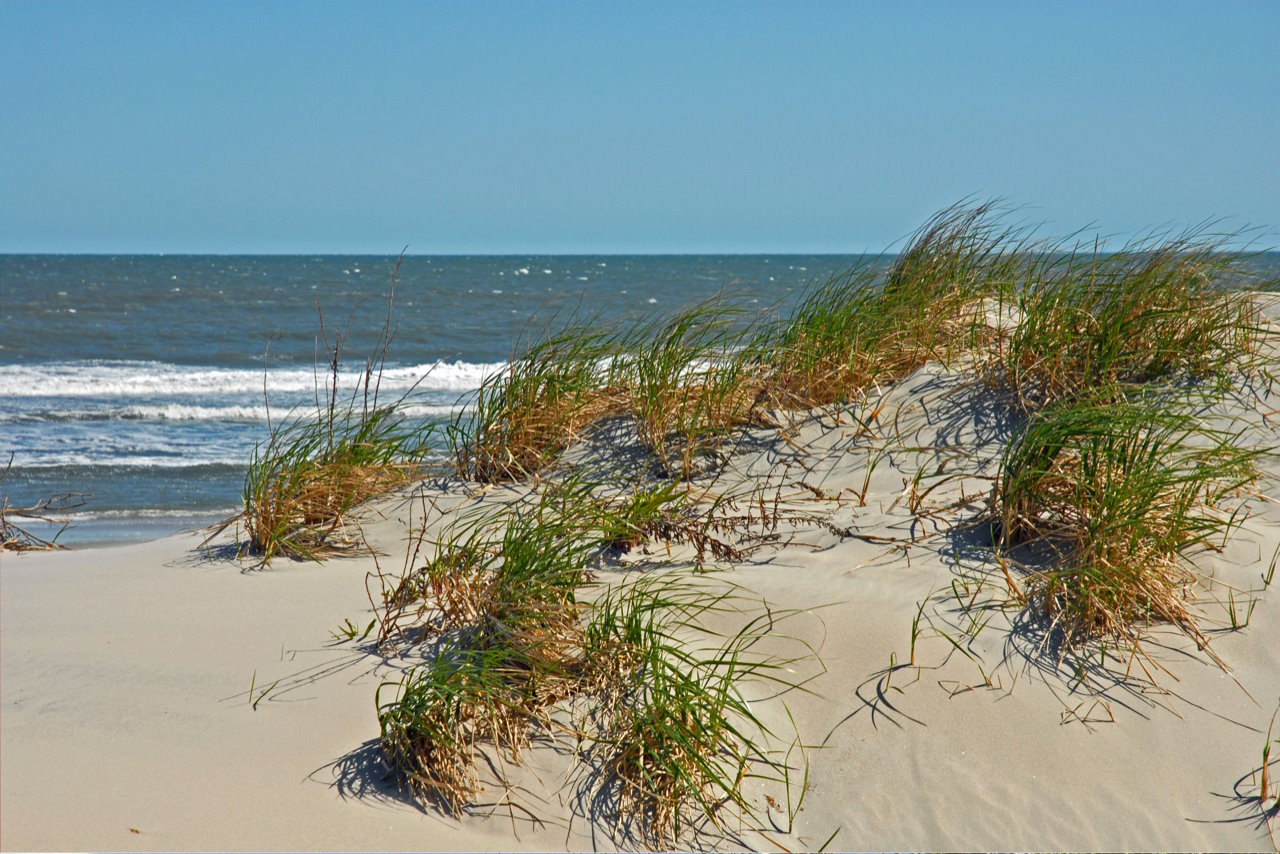 Ocean City, NJ shoreline with grassy sand