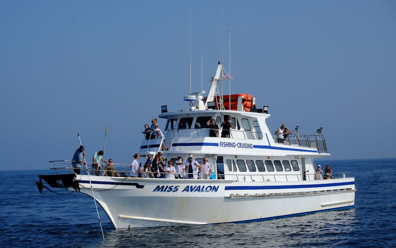 Miss Avalon fishing-cruising boat near Ocean City, NJ