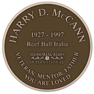 Additional Bronze Plaques for Display