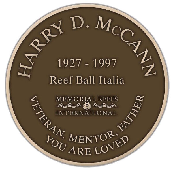 Additional Bronze Plaques for Display
