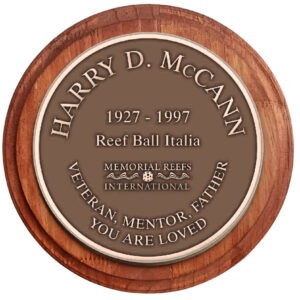 Additional Bronze Plaques for Display