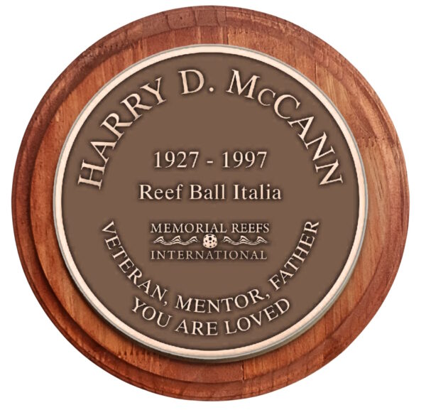 Additional Bronze Plaques for Display
